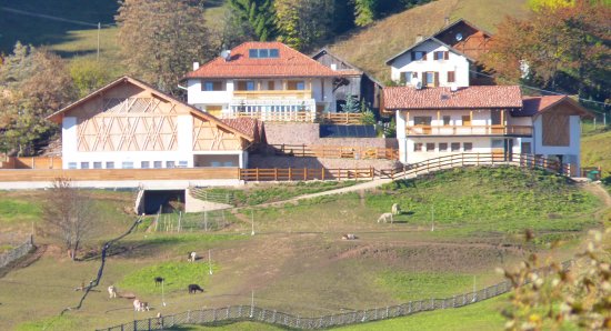 lama_hof.JPG